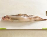 どぎ(ノロゲンゲ)の潮汁〜無添加作り方1写真