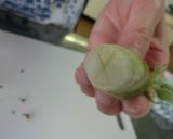 タラの芽の天ぷら作り方1写真