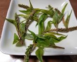 納豆にウワミズザクラの蕾の芽をトッピング作り方3写真