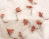 桜&抹茶&ココアのマーブルチーズケーキ☆作り方13写真