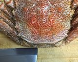 父と子と聖霊と蟹作り方3写真