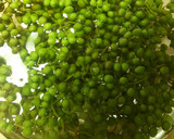 【野菜ソムリエ】山椒の実の下処理作り方2写真