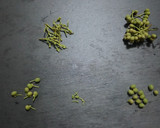 【野菜ソムリエ】山椒の実の下処理作り方3写真