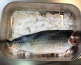 釣ったイナダで 生ハム作り方5写真