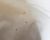 大根を煮たもの作り方12写真
