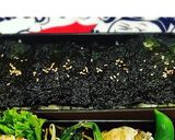 韓国のりの、のりノリ弁当!作り方1写真