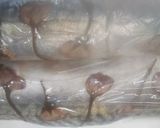 桜風味のさば寿司作り方15写真