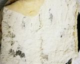 具だくさんなうすあげロール♪作り方5写真