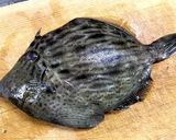 アイスプラントと白身魚のカルパッチョ作り方6写真