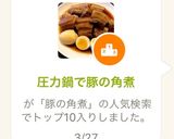 圧力鍋で豚の角煮作り方10写真