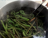重曹不要！ ぜんまい アクの抜き方作り方3写真