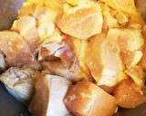 運動会にも！簡単しっかり味の鶏の唐揚げ作り方2写真