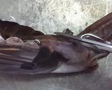 愛知の魚100選⁉　ゴンズイの蒲煮丼作り方5写真