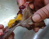 愛知の魚100選⁉　ゴンズイの蒲煮丼作り方7写真