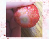Spring☺️FLOWERいちご❤️作り方2写真