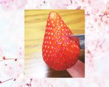 Spring☺️FLOWERいちご❤️作り方3写真