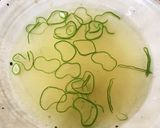 かぶの煮物(あっさり味)作り方11写真