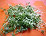 簡単！豆苗の胡麻サラダ作り方2写真