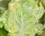 【春キャベツ】基本のロールキャベツ作り方2写真