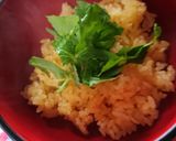 オレンジごはん作り方9写真
