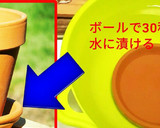 トースト美味しい焼き方(素焼植木鉢使用)作り方1写真