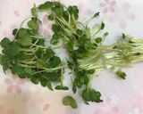 鮭フレークと かいわれ大根のおにぎり作り方1写真