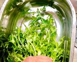 水菜と豚バラのゴマだれ和え炒め✩.*˚作り方2写真