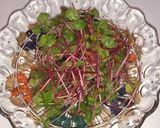 そば菜のサラダ作り方4写真
