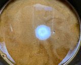 じゃがいもと厚揚げと大豆のカレー作り方8写真