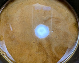 じゃがいもと厚揚げと大豆のカレー作り方8写真