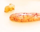 絶品(^^)天然ぶりの卵の煮付け *☻*作り方1写真