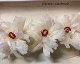 飾り大根の菊花の甘酢つけ作り方7写真