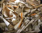 玉白茸とマイタケの炊き込みご飯作り方6写真