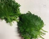味噌と麺つゆで簡単！鶏餃子作り方1写真