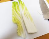 野菜作り方5写真