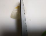 ツナの焼き餃子作り方7写真