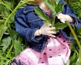 リカちゃんサイズ♡よもぎ餅ꕤ*.ﾟ作り方1写真