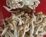 ぶなしめじ☆冷凍保存作り方1写真