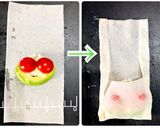 【作り置き】３種の春巻き作り方6写真