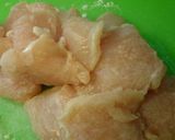 とろ旨✿鶏肉と豆腐の煮物✿冶部煮風作り方2写真
