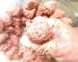ラーメン皇那?ムッチ厶チ☆驚愕 肉団子ஐ作り方9写真