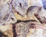 ラム肉のフライステーキ作り方1写真