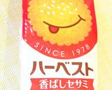 水切りヨーグルトのクッキーサンド作り方5写真