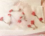 春に食べたい♡桜のホワイトチョコシフォン作り方3写真