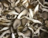 簡単☆炊飯器de鮭としめじの炊き込みご飯作り方2写真