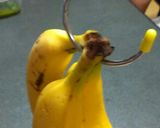 バナナを長持ちさせる方法作り方3写真