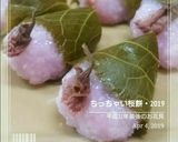 子どもと作ろう道明寺粉でさくらもち作り方19写真