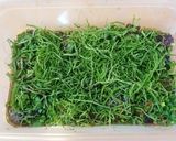 作り置き惣菜　中華風ナスの揚げびたし♪作り方9写真