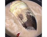 ゼロ活力なべ使用_筍おこわ作り方1写真