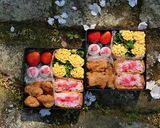 桜の餡玉＊桜トリュフ＊お花見作り方8写真